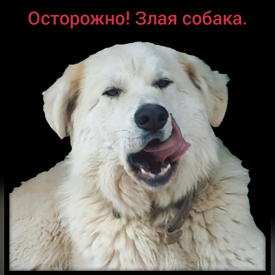 CollageMaker_20200929_091622879.jpg