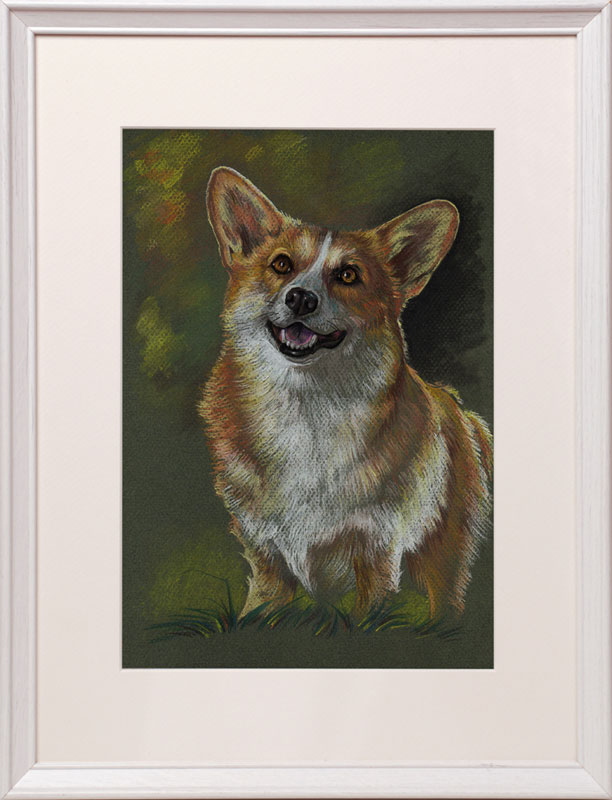 corgi_1.jpg