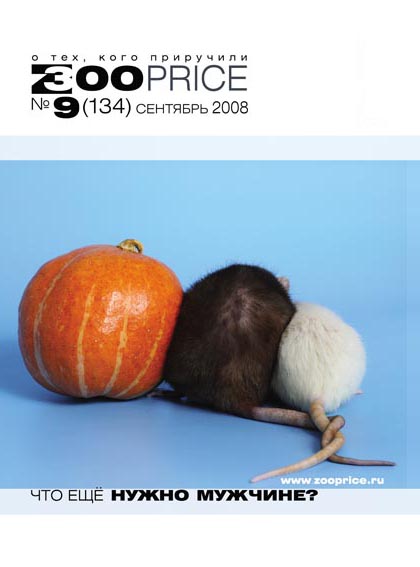 cover9-8.jpg