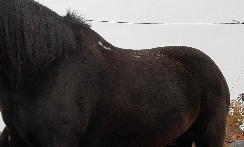 CYMERA_20161213_141259.jpg