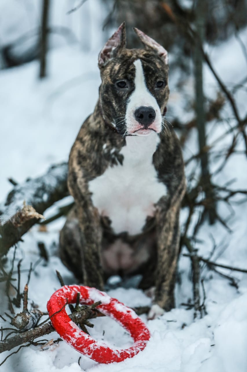 D121F470-37C3-481F-9667-A61A47A5F7FE.jpeg