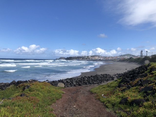 D1E25915-E7B1-4DD7-8474-8227169C85F8.jpeg
