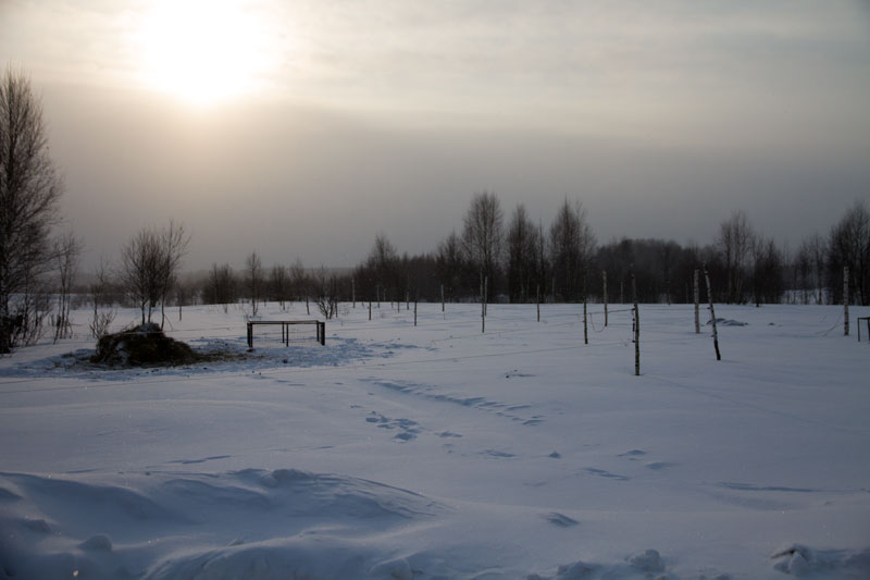 D_4839.jpg