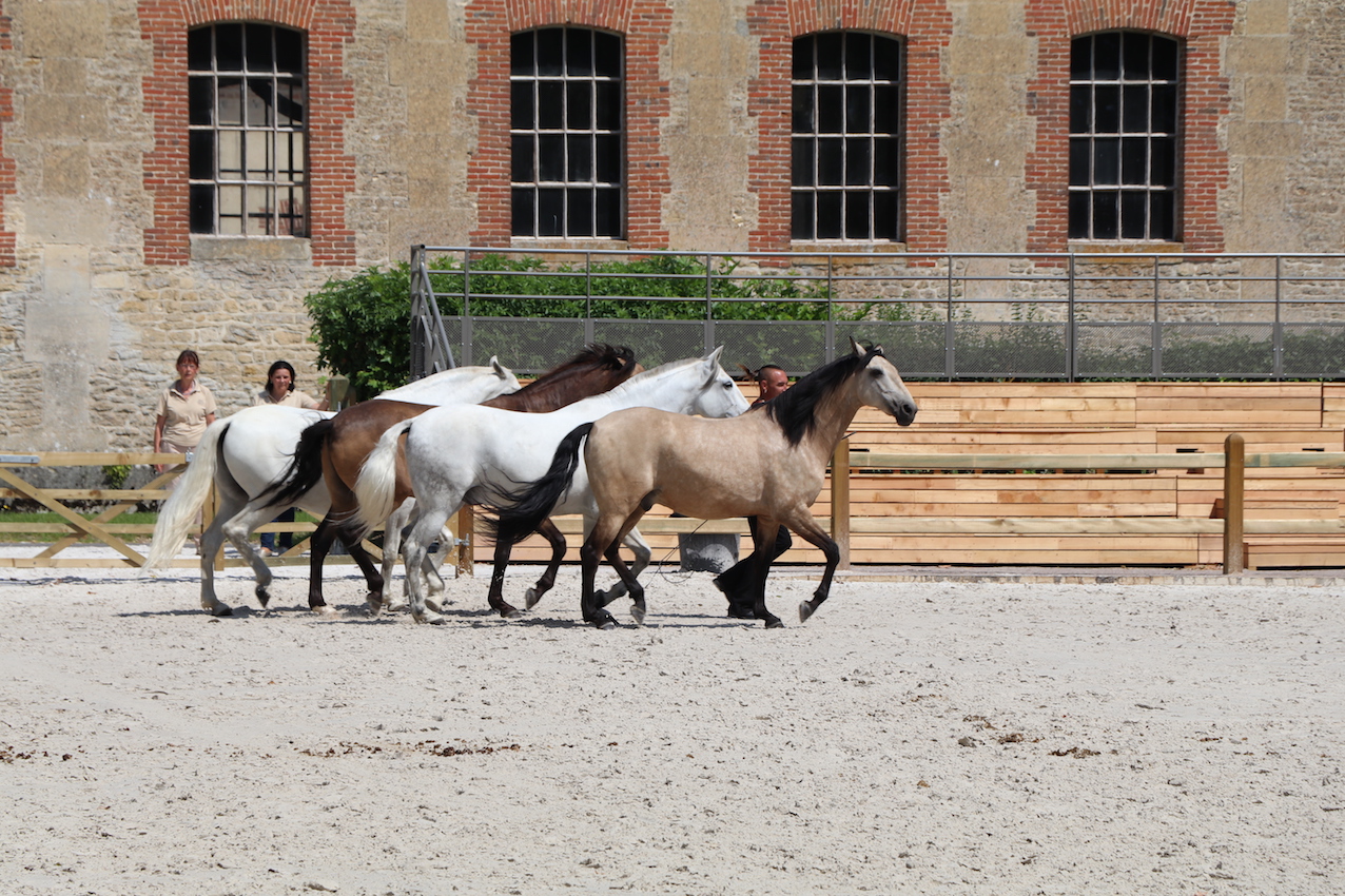 d_4889 - copie.jpg