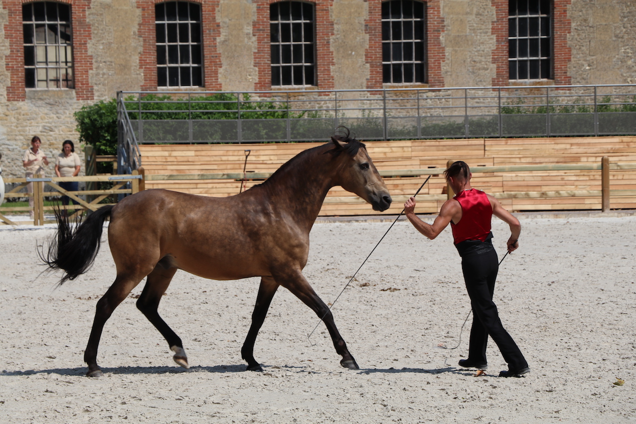 d_4921 - copie.jpg