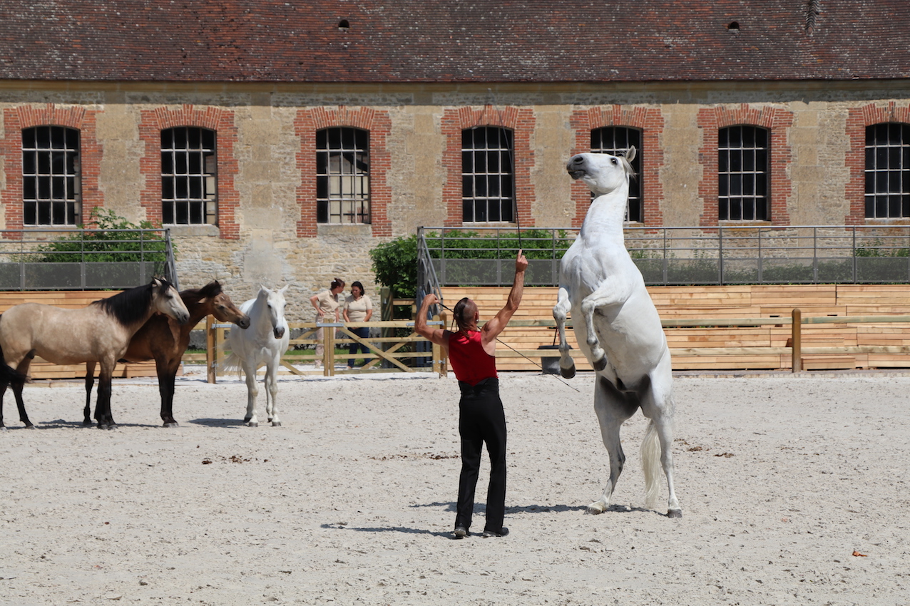 d_4951 - copie.jpg