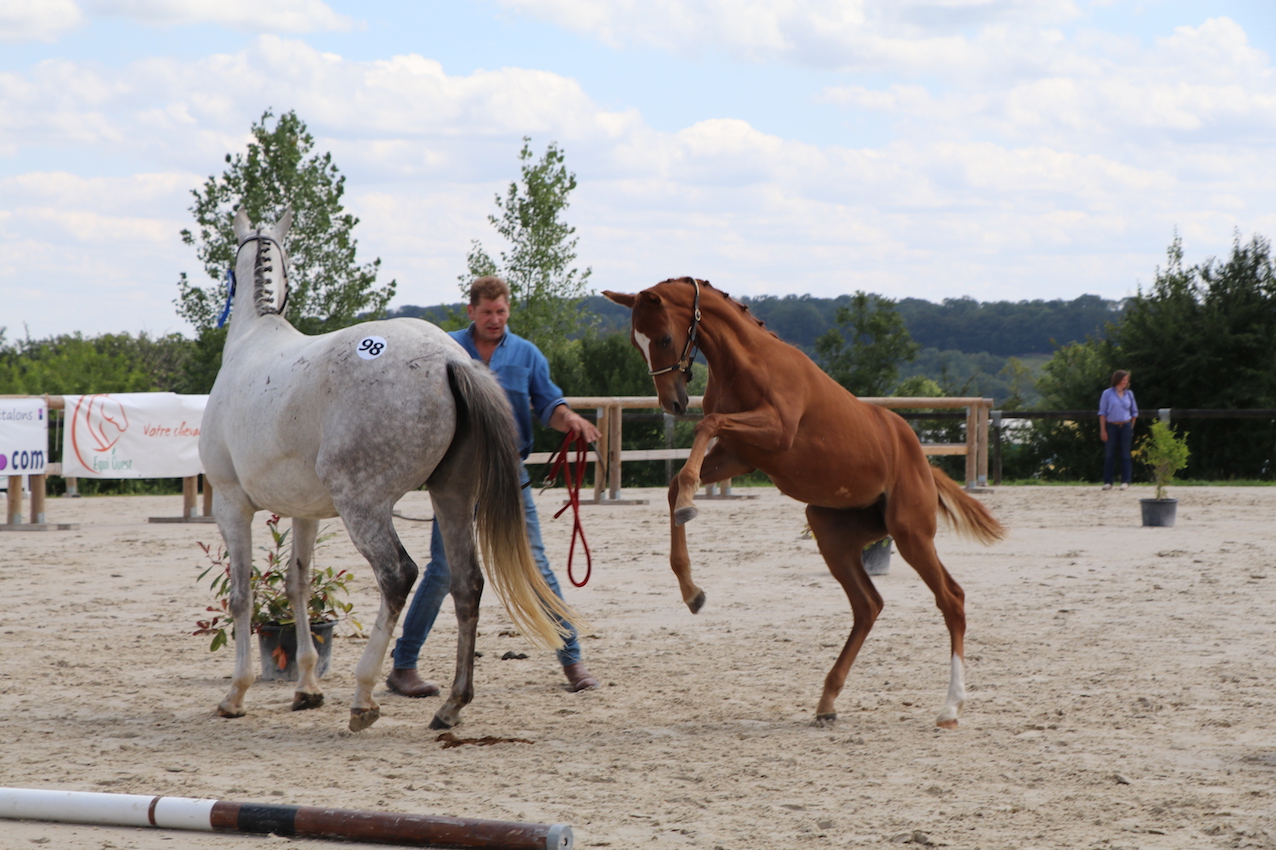 d_5463 - copie.jpg