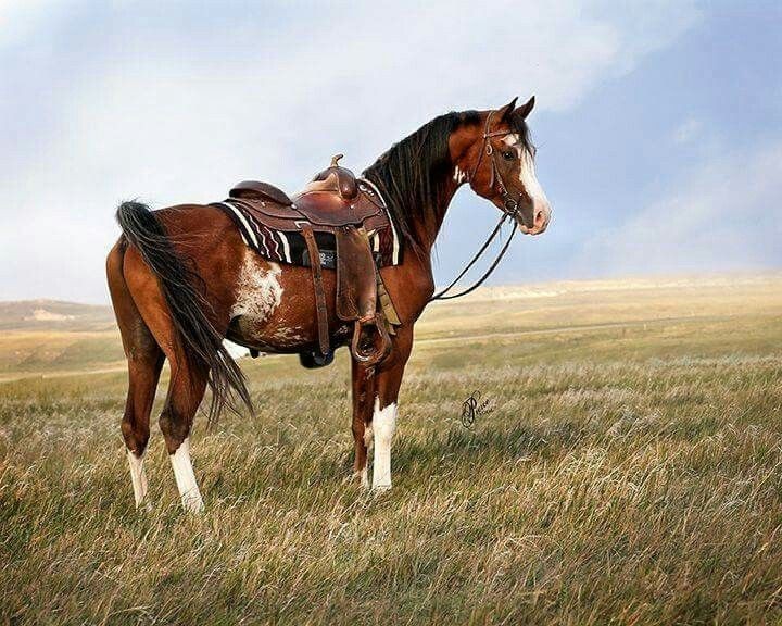 daa347299ef13cf69af83cebff704d1f.jpg