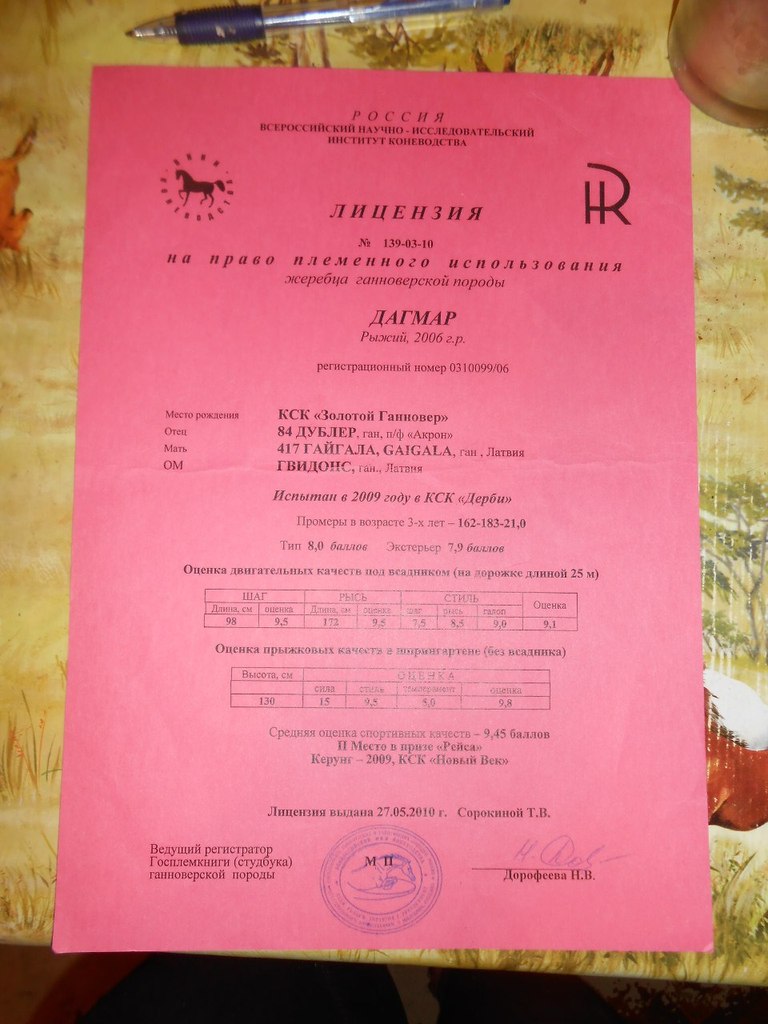 дагмар лицензия.jpg