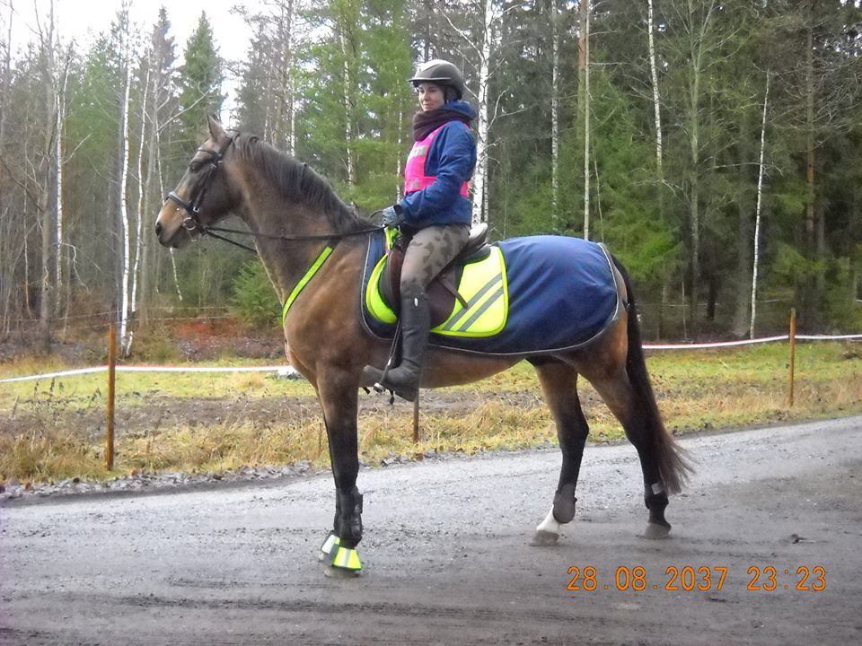 Darga.heijastin.jpg