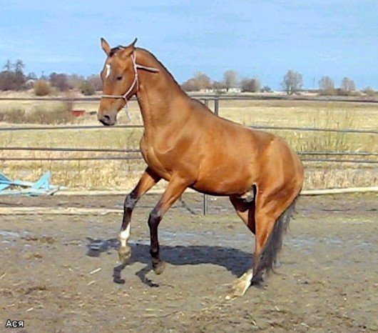 db3fab212e3c.jpg