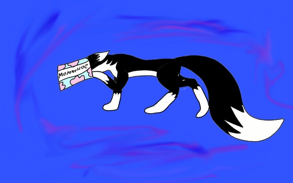 DE2FB1D7-65EB-4771-A97D-8CD91FCF2095.jpeg