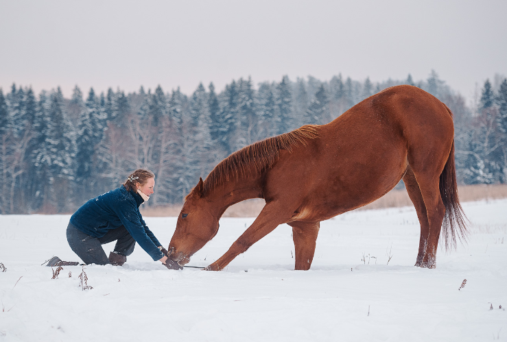 DeepinScreenshot_select-area_20190118112059.png