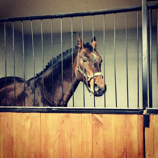 денник 3х4 2.jpg