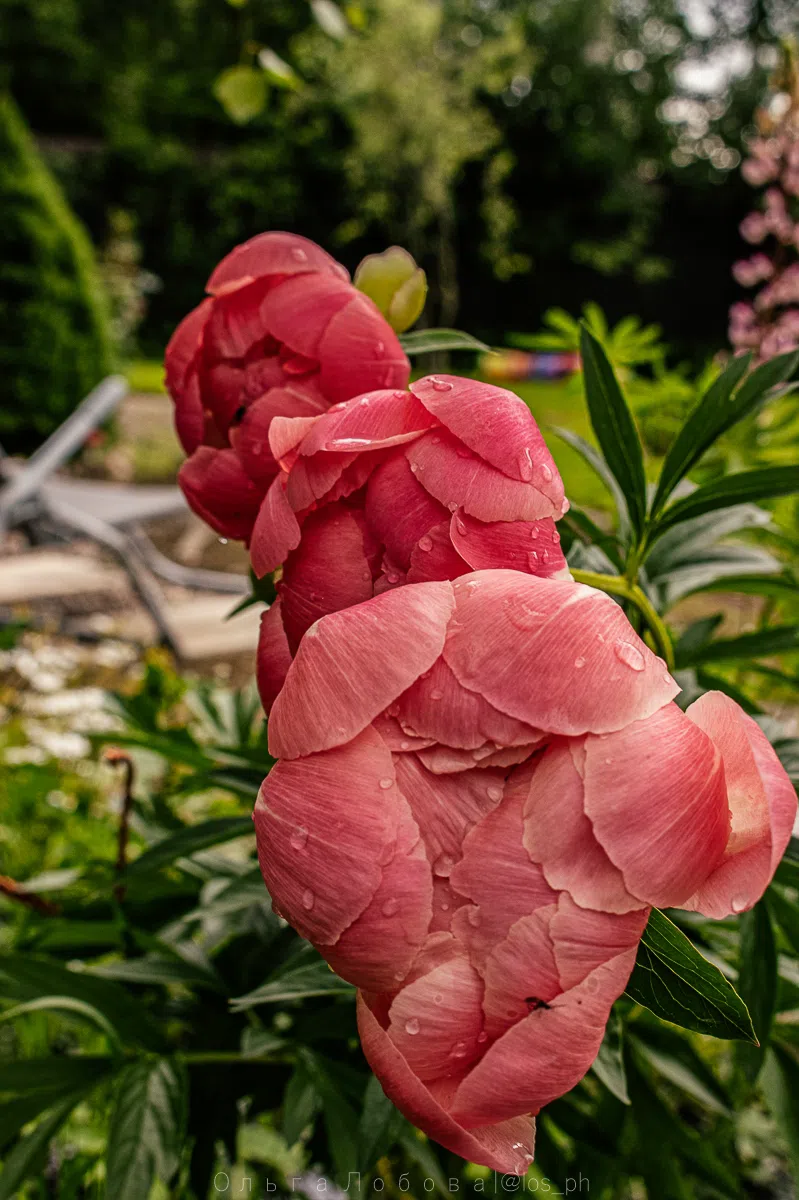 DHxSYhdZtaFB9Ak-qVjxWaWu-iaoQeZyNDYfEgxCQsnZqPfNJL1f411CBvs0JDSUlH2xyrzsEq60yI3WJ6o2tYkZ.webp