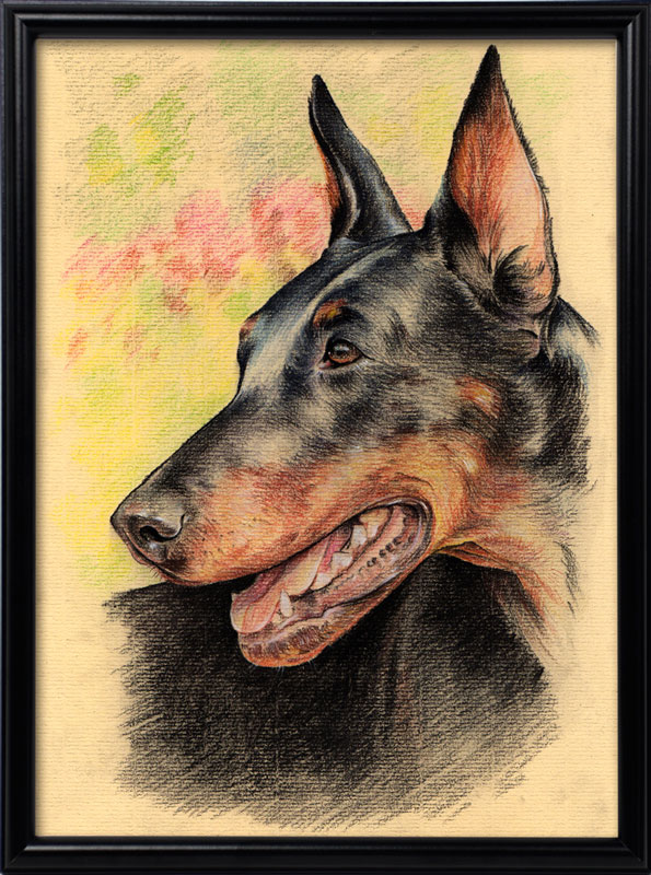 doberman_1.jpg