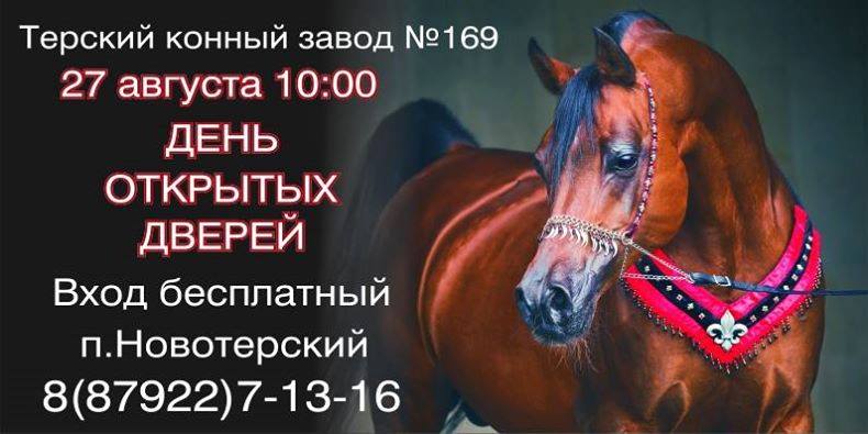 ДОД2017.jpg