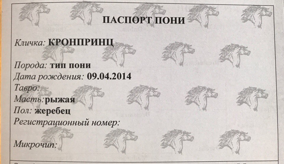 док.jpg