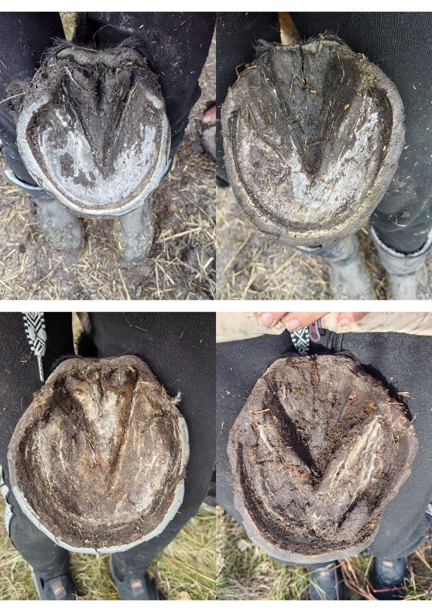 Документ 14_5.jpg