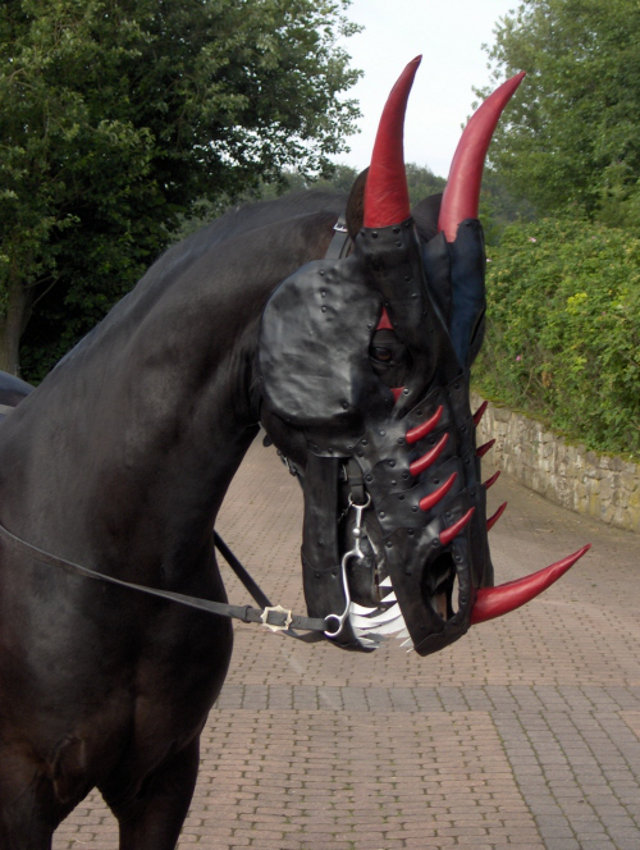 dragon-head-horse1.jpg