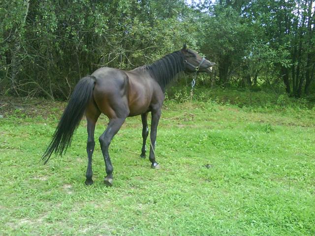 DSC00016.jpg