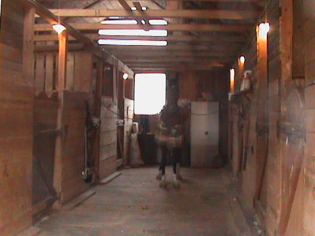 DSC00072.JPG