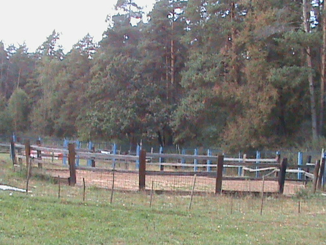 DSC00079.JPG