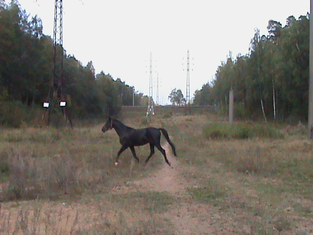 DSC00083.JPG