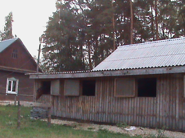 DSC00084.JPG