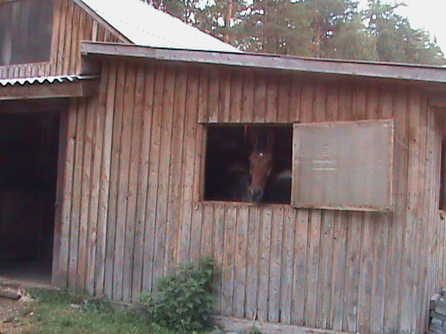 DSC00086.JPG