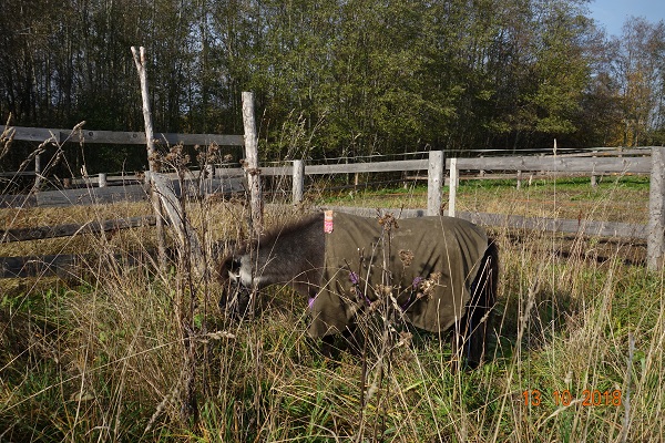 DSC00757_6.jpg