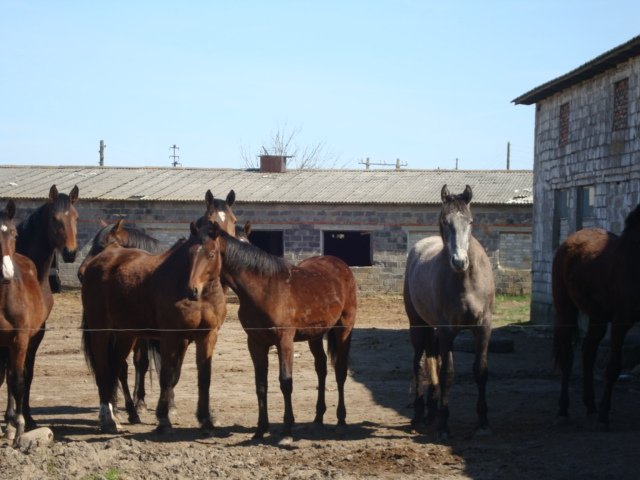 DSC00759.JPG