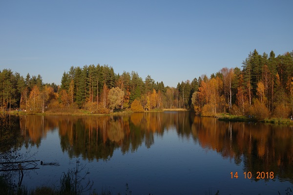 DSC00828_17.jpg