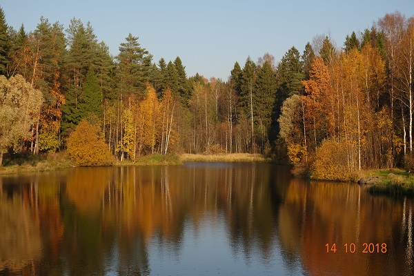 DSC00829_18.jpg