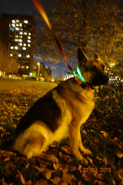 DSC00852_13.jpg