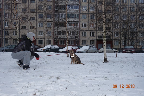 DSC01159_17.jpg