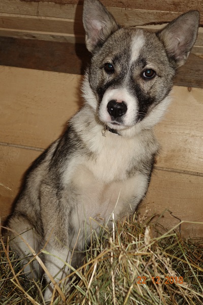 DSC01240_8_щ.jpg