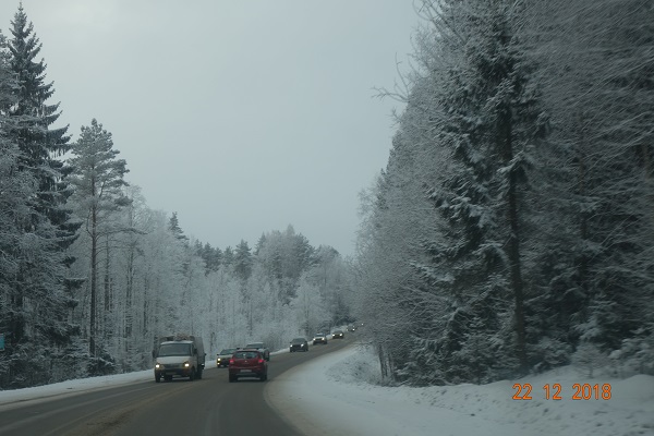 DSC01246_4.jpg