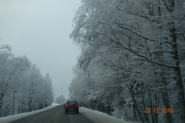 DSC01252_3.jpg