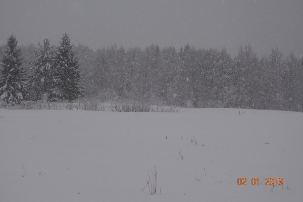 DSC01430_14.jpg