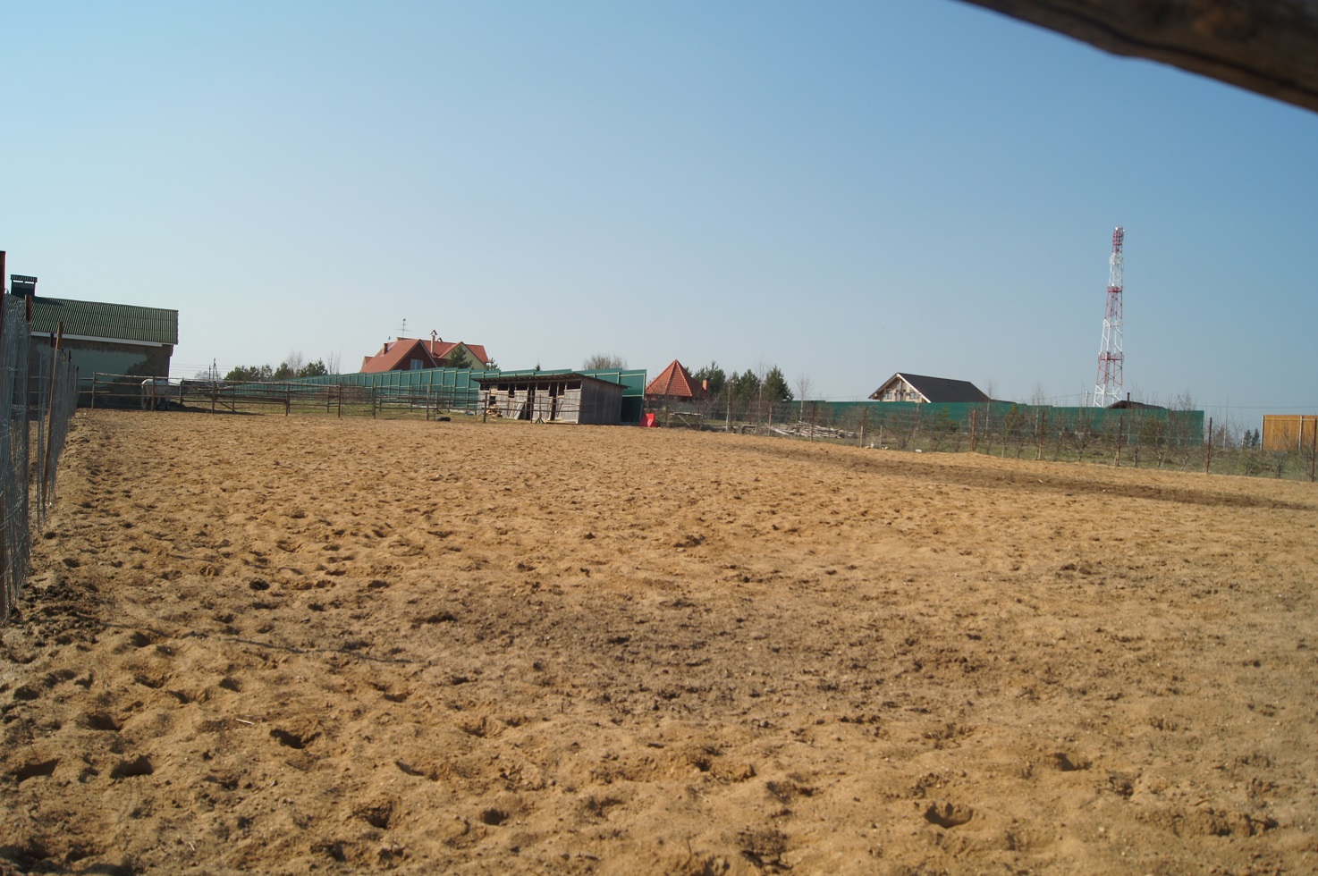 DSC01516.jpg