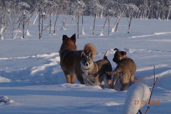 DSC01525_18.jpg