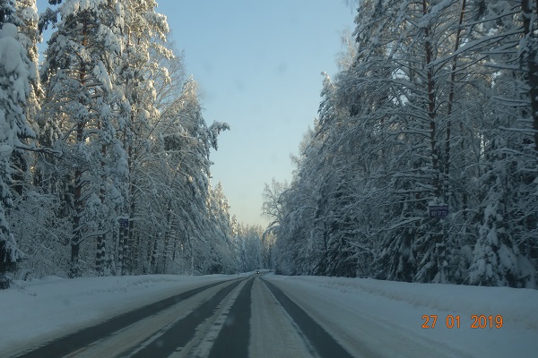 DSC01535_1.jpg