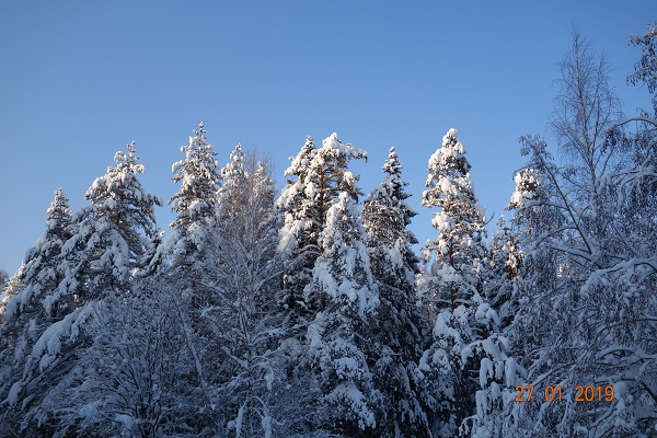 DSC01542_4.jpg