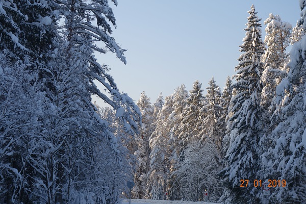 DSC01544_6.jpg