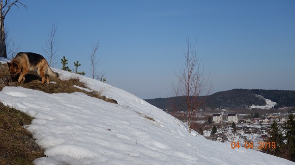 DSC01716.jpg_7.jpg