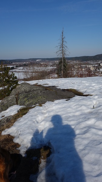 DSC01724.jpg_14.jpg