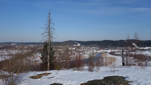 DSC01725.jpg_15.jpg