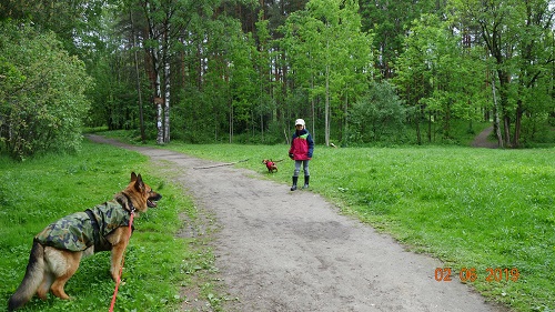 DSC02157.JPG-1.jpg