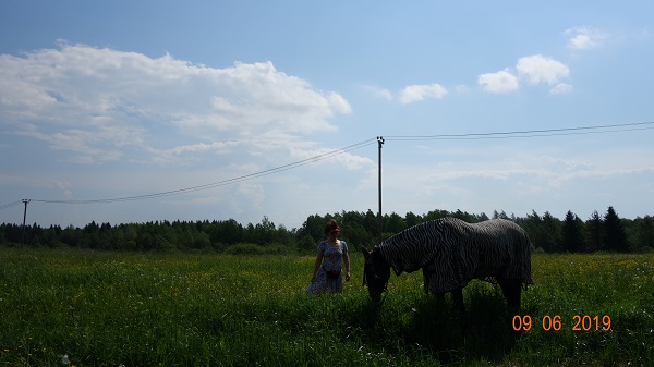 DSC02191.jpg-3.jpg